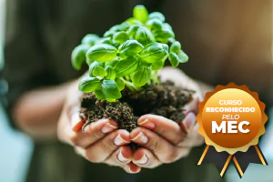 Curso Técnico em Meio Ambiente